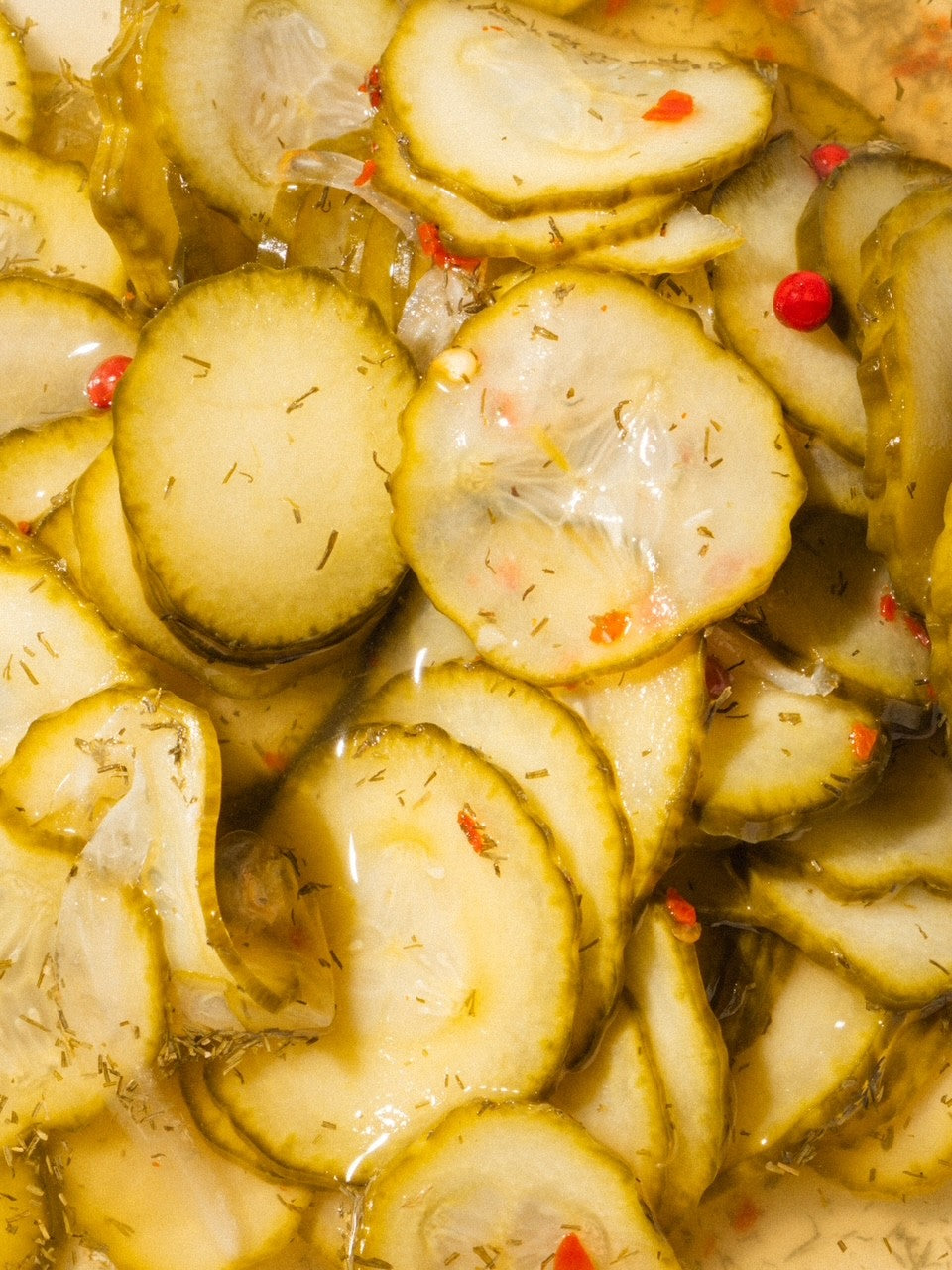 Cheesed Pickles